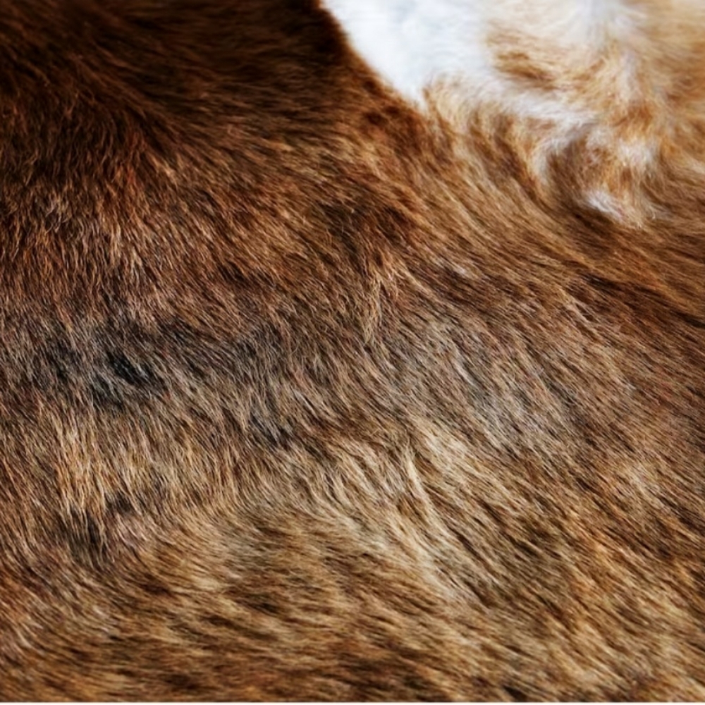 Beautifully Made cowhide Rugs - Picture 6 of 6